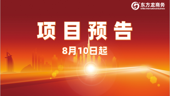 13個優質投資選址項目，總投資額超百億，8月10日陸續安排對接政府園區