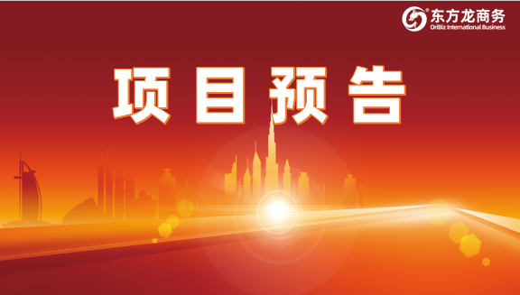 節后對接工作準備就緒！已有28家優質投資選址企業確認對接全國政府園區