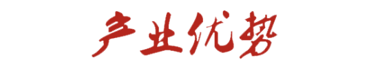 產(chǎn)業(yè)優(yōu)勢