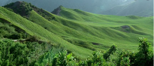 東方龍商務集團助力新疆烏什縣委托招商引資，推進產業(yè)發(fā)展集聚