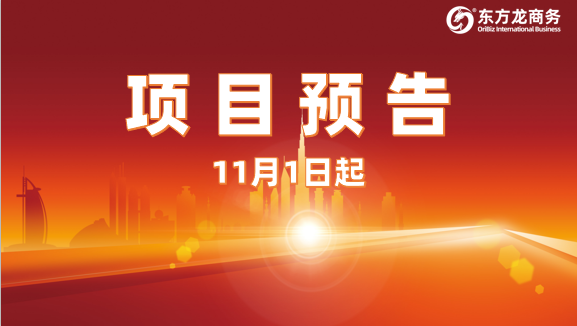 大干100天，提速、提效、提質！11月1日起，24家優質投資選址企業精準對接全國政府園區