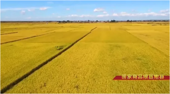 集團(tuán)全力助推吉林省通化市輝南縣委托招商引資，做大做強(qiáng)四大特色產(chǎn)業(yè)集群