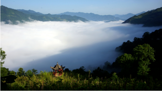 集團(tuán)全力助推甘肅隴南康縣委托招商引資，以綠色發(fā)展推動(dòng)鄉(xiāng)村振興