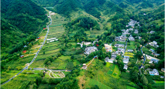 集團(tuán)全力助推甘肅隴南康縣委托招商引資，以綠色發(fā)展推動(dòng)鄉(xiāng)村振興