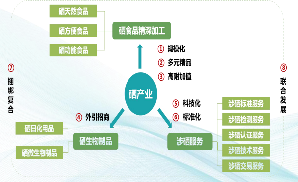 集團全力助推湖北恩施高新區委托招商引資，打造特色產業集群化發展新格局