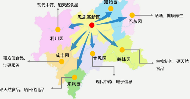 集團全力助推湖北恩施高新區委托招商引資，打造特色產業集群化發展新格局