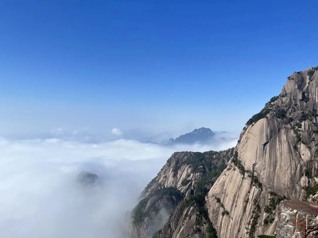 東方龍商務與春天有個約會！集團100余人赴安徽黃山“團建”，太嗨了！“奔跑二季度”——我們準備好了！