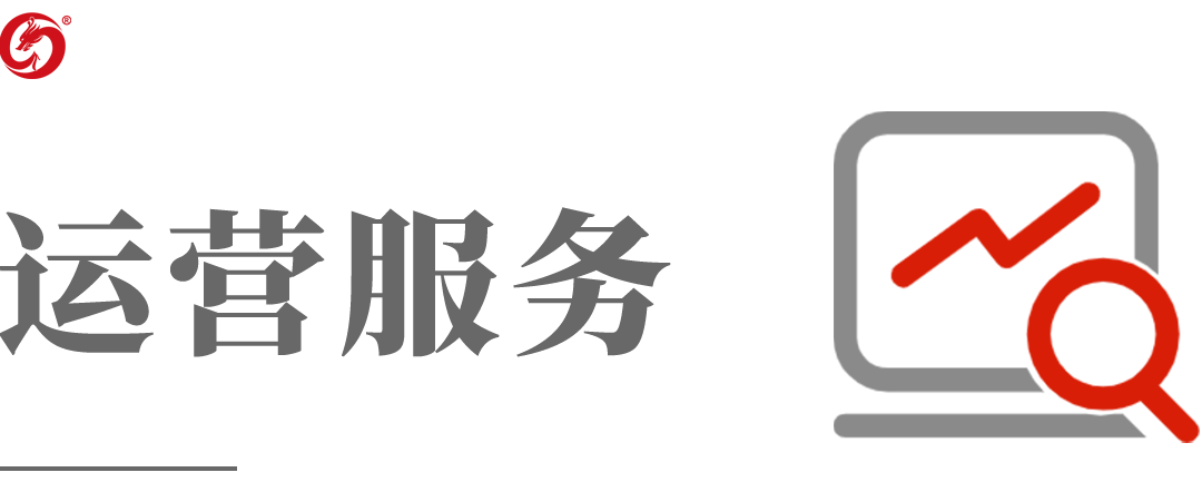 委托招商運營服務